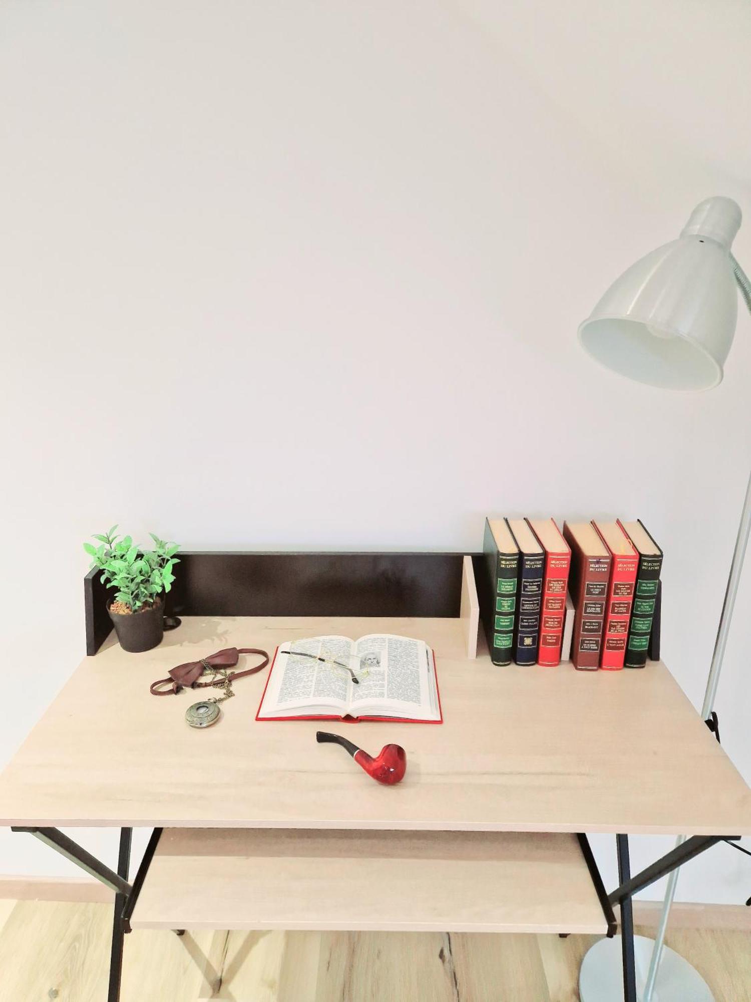 L'Elementaire, Appartement Chic Et Central มูลูส ภายนอก รูปภาพ